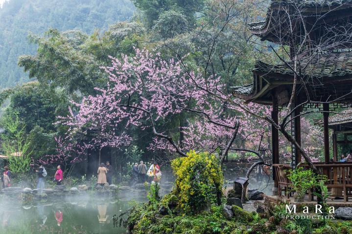 动漫人物吃东西